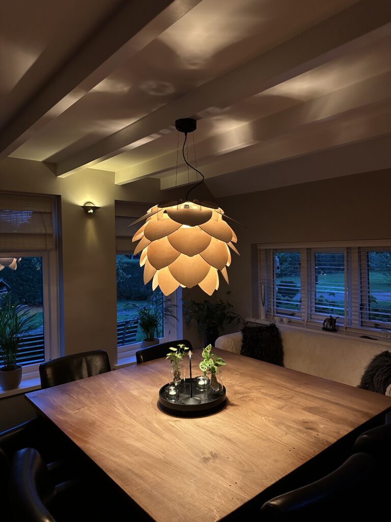 Tywomi Pinea, Hanglamp, ontworpen met inspiratie van een dennenappel, perfect voor elk interieur.